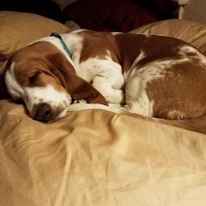 Meet your Posher, Teresa